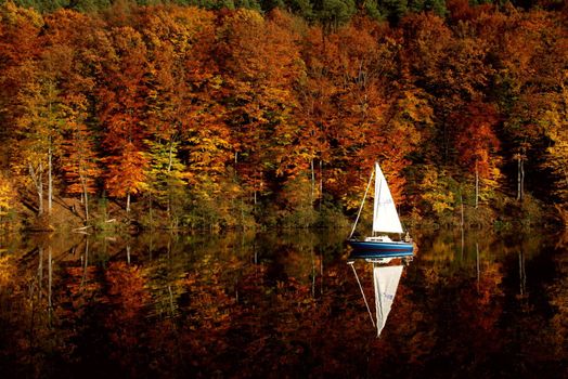 a sailboat and an autumn forest of red yellow and green autumn colors are reflected in the lake surface. High quality photo