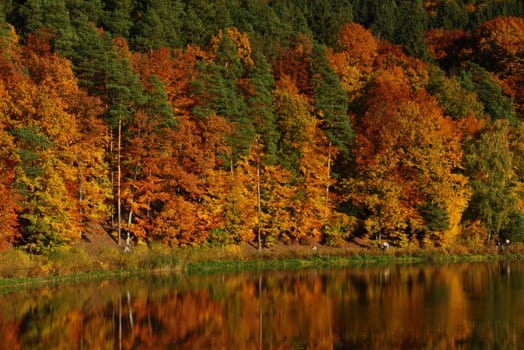 the blue sky and an autumn forest of red yellow and green autumn colors are reflected in the lake surface. High quality photo