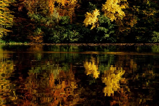 autumn forest of red yellow and green autumn colors are reflected in the lake surface. High quality photo