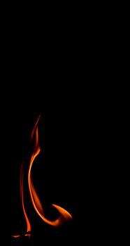 Fire flame isolated on black background. Space for copy, text, your words
