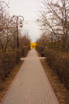 Bike road in the park. Healthy lifestyle. Bicycle track.