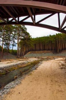 wooden bridge over a small stream in a city park surrounded by forest