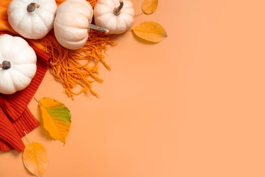 Autumn flat lay composition with pumpkins and fallen leaves and sweater with space for text.