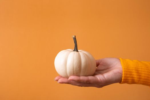 A small decorative white pumpkin in a woman's hand in a sweater on an orange background.
