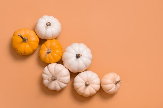 Group of decorative pumpkins top view on orange background. Autumn flat lay. Copy space.