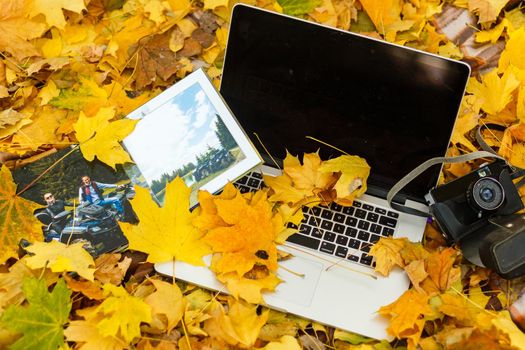 laptop and photobook in autumn park