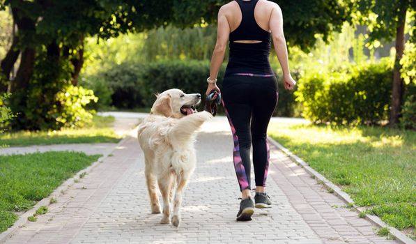 Sport girl running with golden retriever dog outdoors view from back. Young woman jogging with doggy pet in summertime