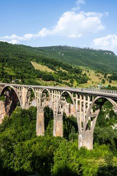 Durdevica Tara bridge in Montenegro and beautiful mountain hills. Amazing nature in national park Durmitor