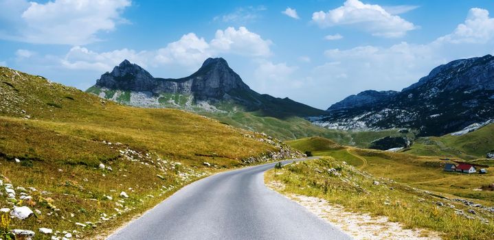 Road with mountains view in National park Durmitor in Montenegro. Amazing north balkan nature in sunny day with blue sky