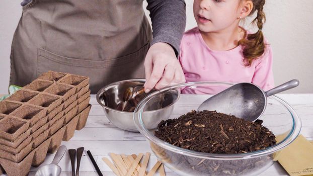 Little girl helping to plant herb seeds into small containers for a homeschool project.