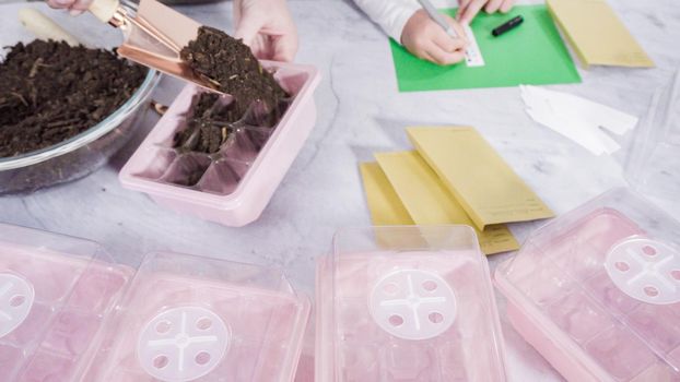 Little girl helping planting seeds in seed propagator with soil.