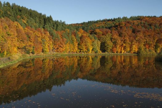the blue sky and an autumn forest of red yellow and green autumn colors are reflected in the lake surface. High quality photo