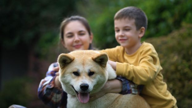 Family in the yard playing with the dog Akita Inu. Mom and son petting and hugging their dog.