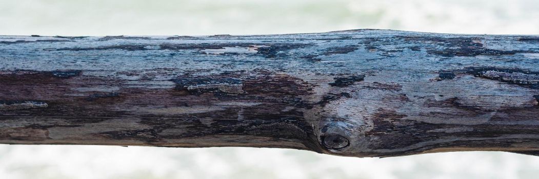 Horizontal line dark brown narrow plank log hard wood bark surface texture stem background sea board.