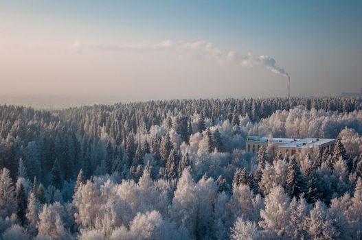 winter forest and factory chimney in the background.
