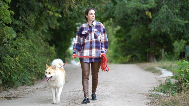 Girl walks her dog Akita inu on the street on a leash. The dog and the mistress are walking along a rural road.