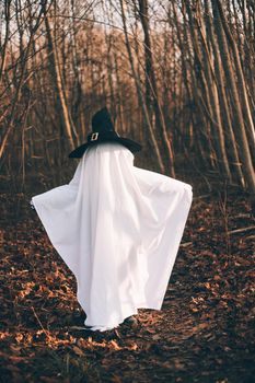 Halloween ghost in the woods . Halloween holiday. Masquerade . An article about Halloween. An article about a ghost. Mysticism. Autumn forest