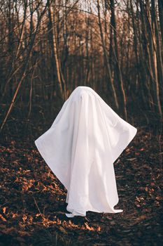 Halloween ghost in the woods . Halloween holiday. Masquerade . An article about Halloween. An article about a ghost. Mysticism. Autumn forest