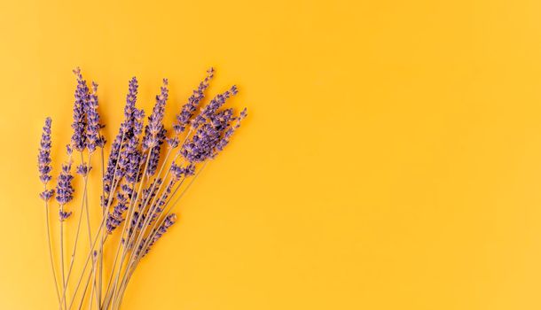 Lavender flowers on a yellow background. Space for text high-quality photos for calendar and cards Top view, flat lay