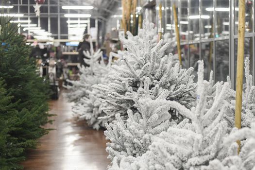 White christmas artificial trees for sale on a shop