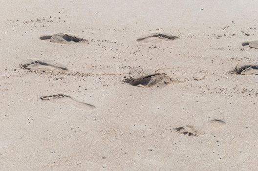 A closeup shot of footprints in the sand at the beach