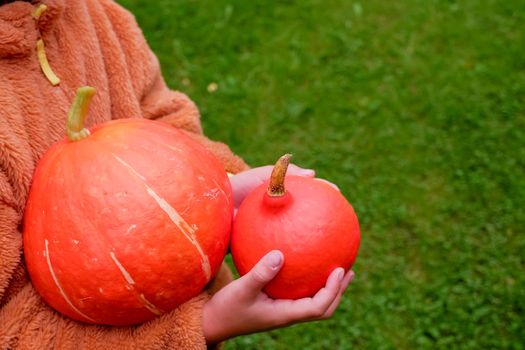 happy little cute girl with painting spider on cheek holding orange pumpkin for jack lantern. smiling kid harvesting in autumn on red background.