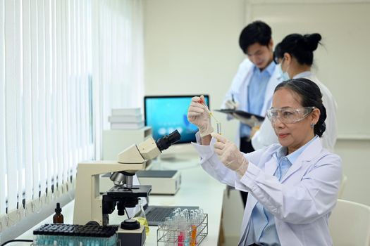 Senior woman researcher with test tube conducting experiment in a laboratory.
