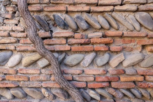 Stone background made of small stones and bricks. Brickwork, the wall of an old house near which a vine grows, a tree, a trunk. Summer day, sun rays. Copy paste, for your product, design