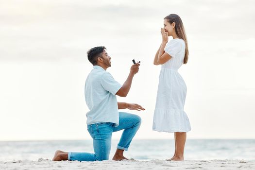 Engagement, beach and a couple with a marriage proposal with a ring while on romantic vacation. Love, romance and happy couple getting engaged while on a summer holiday in nature by the ocean