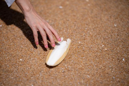 Hand holding cuttlefish bone wedged in the sand on the beach.