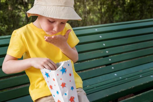 A boy, Caucasian, in summer clothes and a light panama on a park bench on a summer day. The child eats popcorn, summer food, a snack in the park, sweets. Copy space for text. The concept, fast food