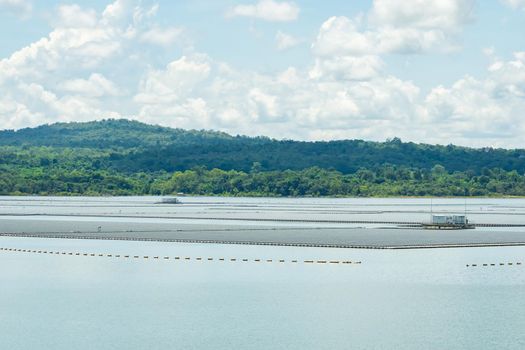 Floating solar farm or floating photovoltaics. Solar power. Landscape of solar panels floating on water in reservoir or lake. Solar technology. Alternative renewable energy. Sustainable resources.