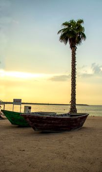 Boats on the La Mer beach in Jumeirah area, Dubai, UAE. Outdoors