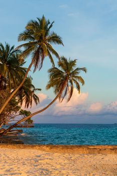 Shot of a tropical island.