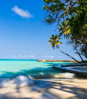 Shot of a tropical island.