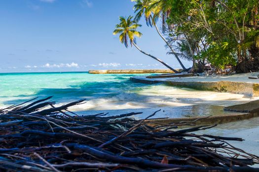 Shot of a tropical island.