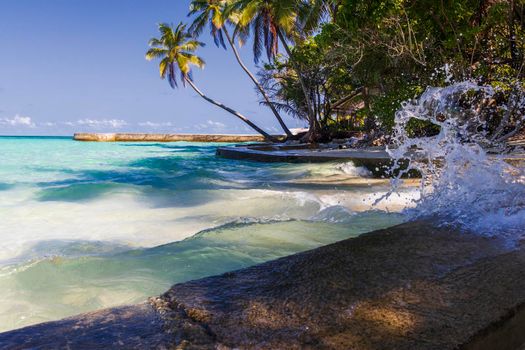 Shot of a tropical island.