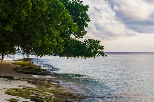 Shot of a tropical island.