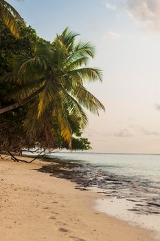 Shot of a tropical island.