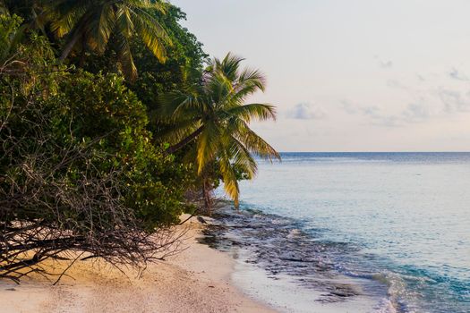 Shot of a tropical island.