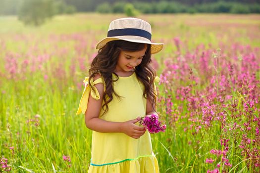 Smiling beautiful little girl walks in a straw hat through a flowering field, holds a bouquet of burgundy viscaria flowers in summer. copy space.