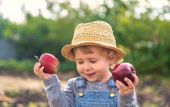 Child with apples in the garden. Selective focus. Kid.