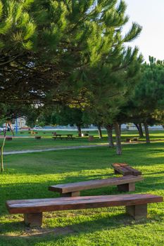 Wooden benches in the park in the rays of the setting sun