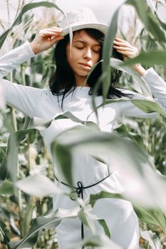 A brunette girl in a white dress in a cornfield. The concept of harvesting.
