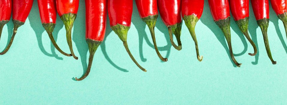 Red hot chilli peppers on minimal blue contrast background close up macro flat lay from above composition, simple clean food background with chilli peppers space for text.