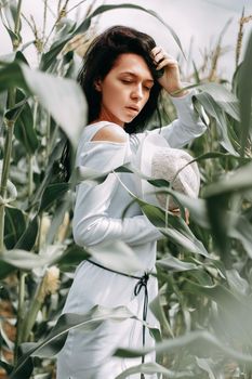 A brunette girl in a white dress in a cornfield. The concept of harvesting.