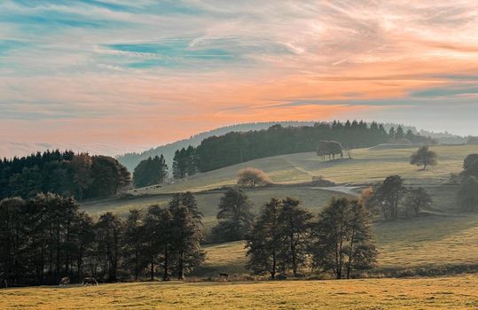 idyllic landscape like an oil painting blue sky in soft pink tones over an autumn landscape of fields and trees. High quality photo