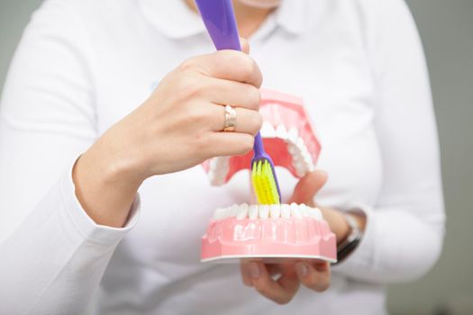 Cropped shot of unrecognizable female dentist showing how to brush teeth on dental model