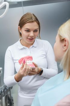 Vertical shot of a female dentist showing dental model to a patient
