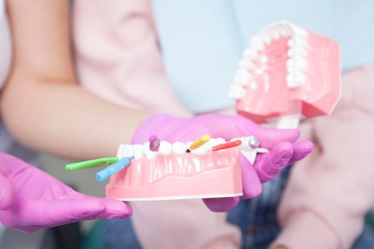 Close up of interdental brushes in dental model in hands of dentist